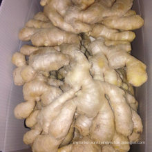 Fresh Air-Dry Ginger (100G+, 150G, 200G+, 250G+)